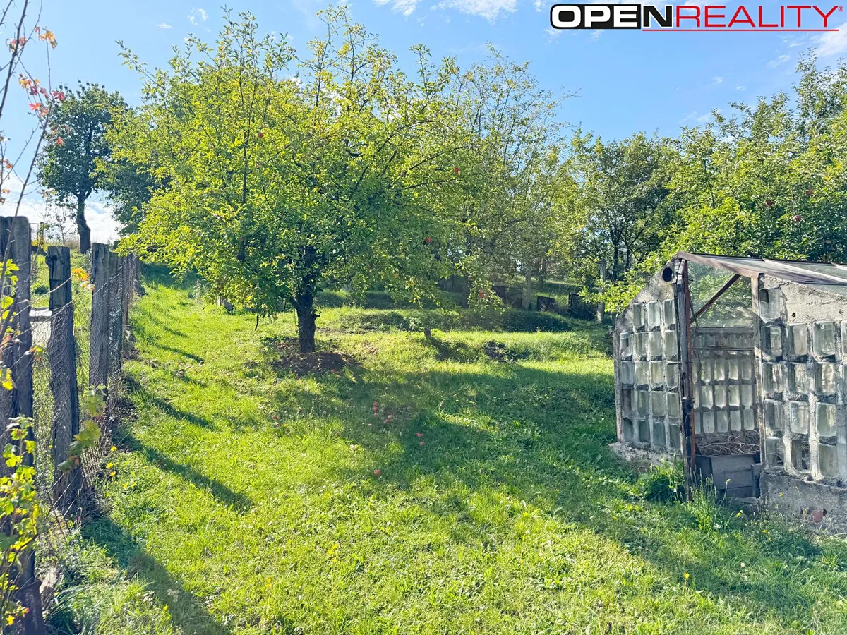Fotka 15 z 30